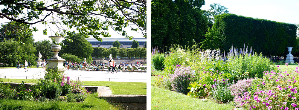 Flowers in the Tuileries garden