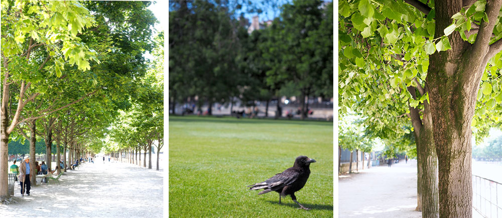 Green range at Tuileries garden