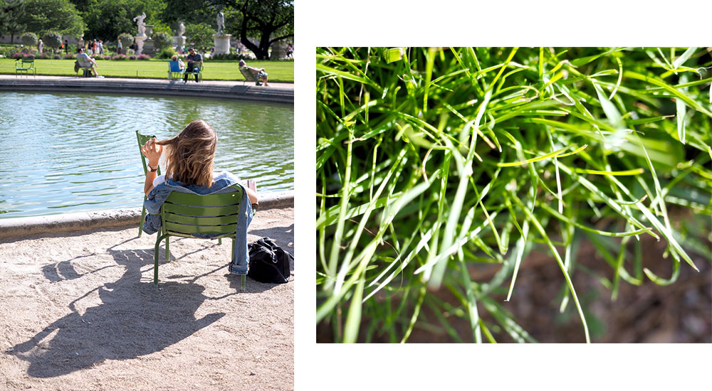 Thoughts in the Tuileries garden